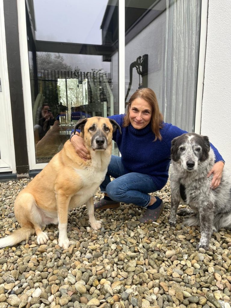 WhatsApp Image 2025-02-27 at 5.56