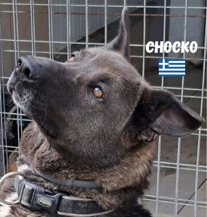 Chocko