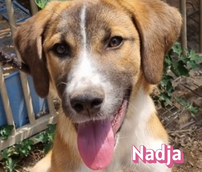 Nadja