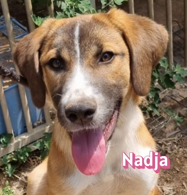 Nadja