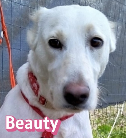 Beauty
