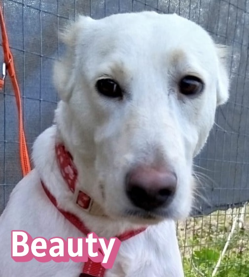 Beauty