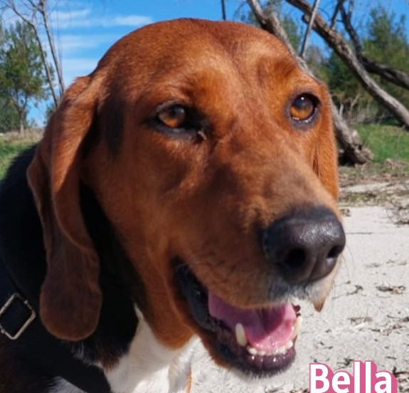 Bella