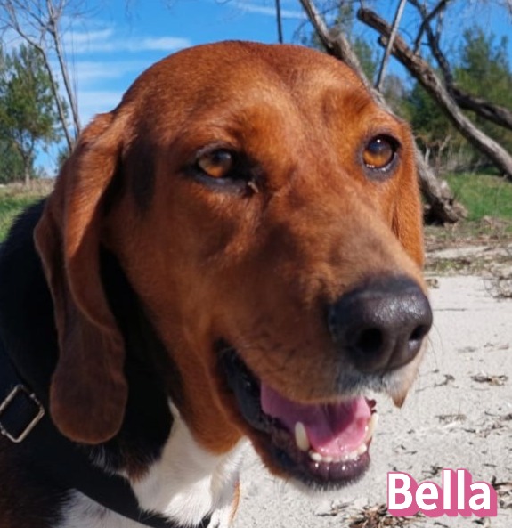Bella