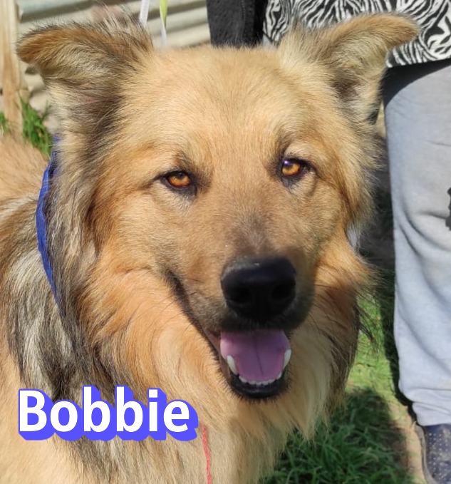 Bobbie