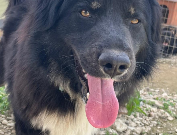 Rudi
