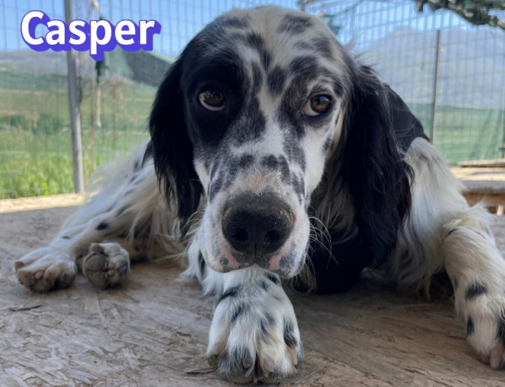 Casper