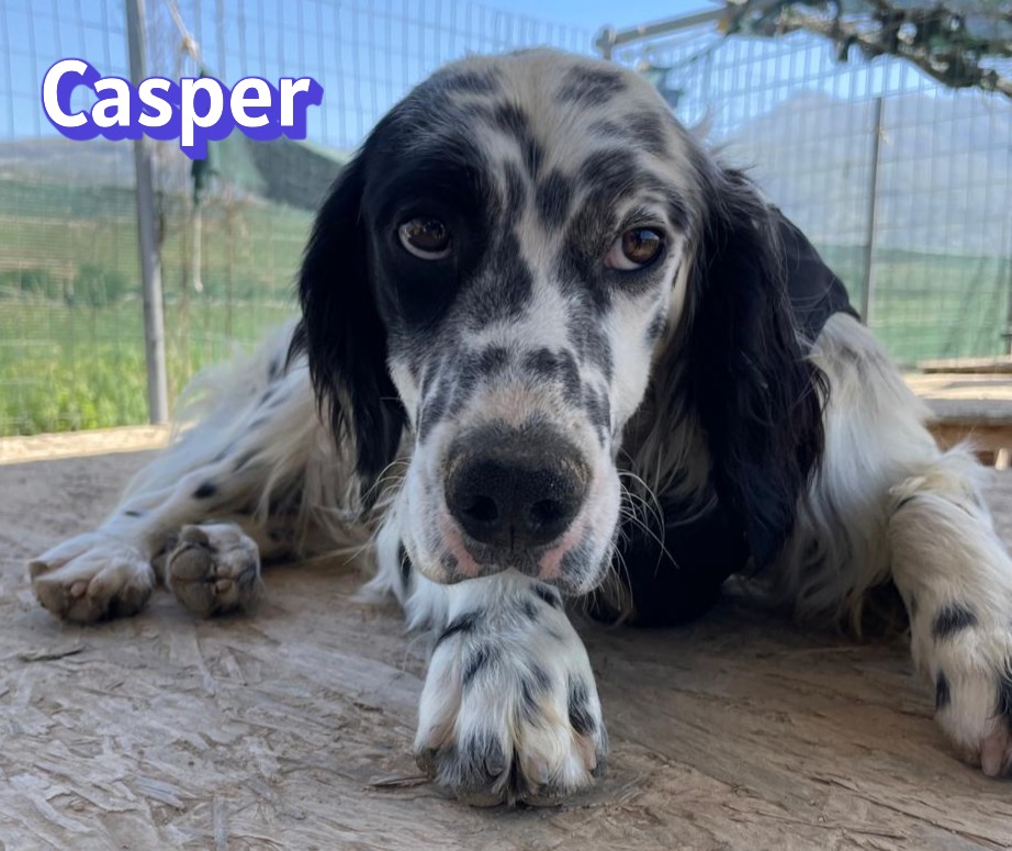 Casper