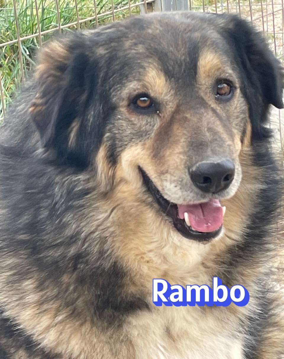 Rambo