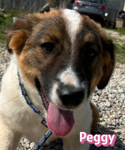 Peggy