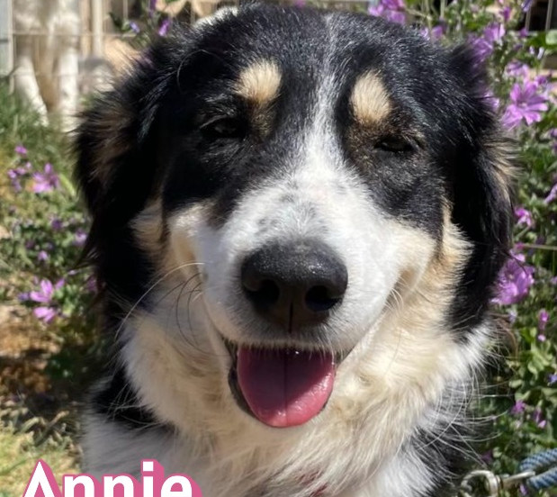 Annie