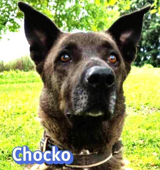 Chocko