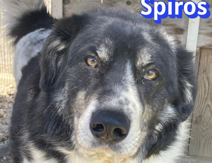 Spiros