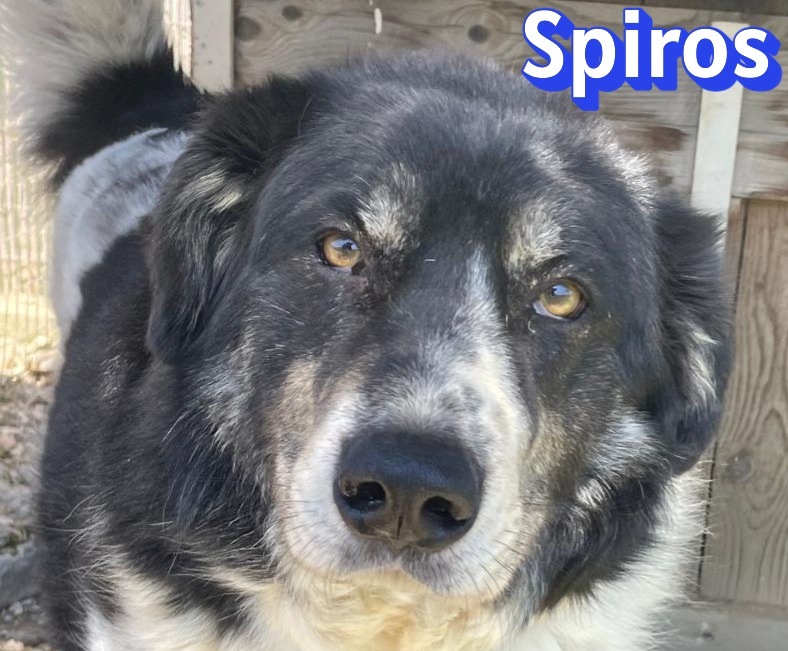 Spiros