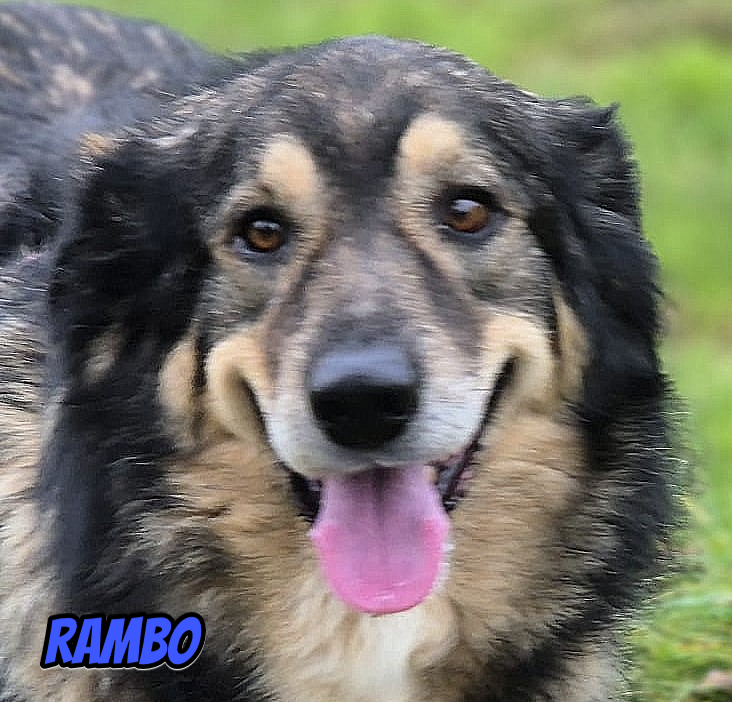 Rambo