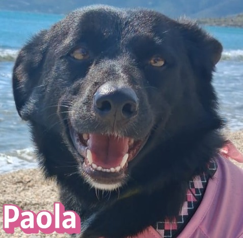 Paola
