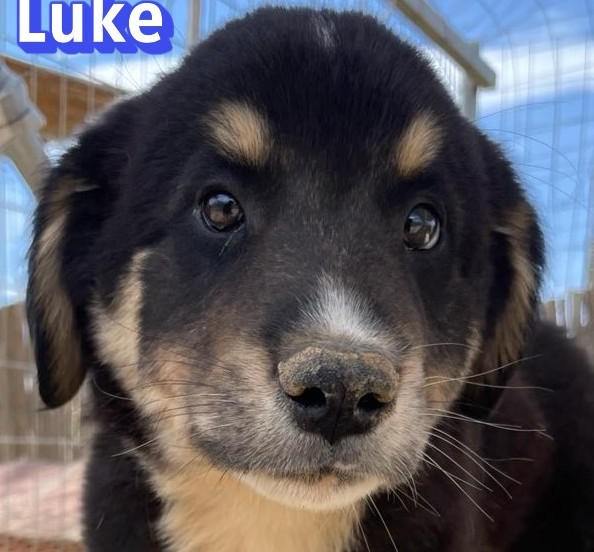 Luke