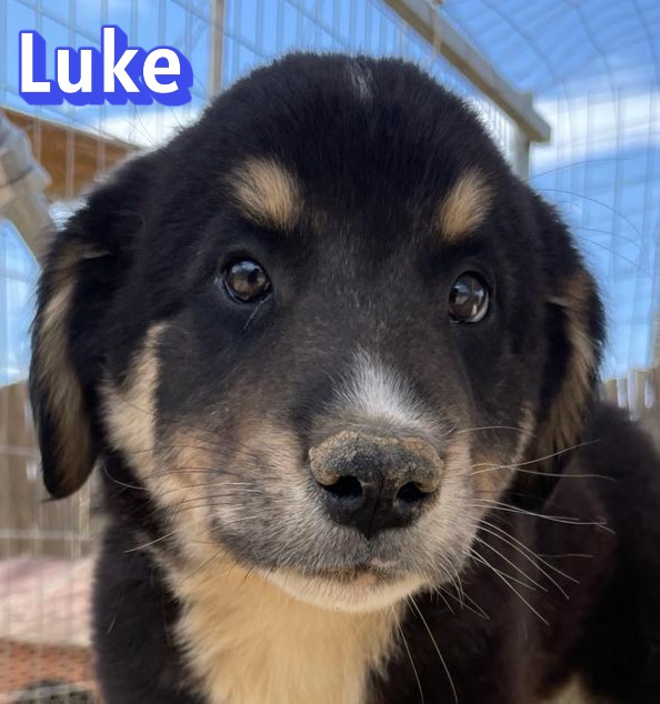 Luke