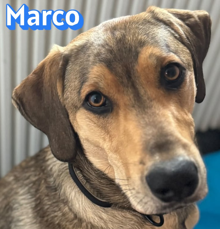 Marco – zweite Chance