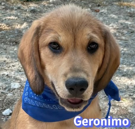 Geronimo