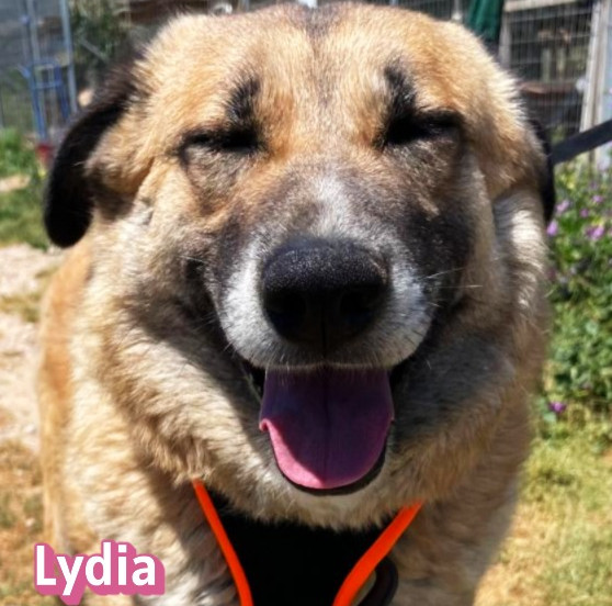 Lydia